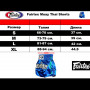Шорты для Тайского бокса Fairtex BS0645 Синие